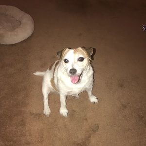 Meet your Posher, Jada